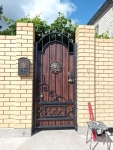 img1_28929.jpg