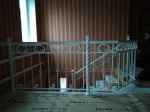 img5_11862.jpg